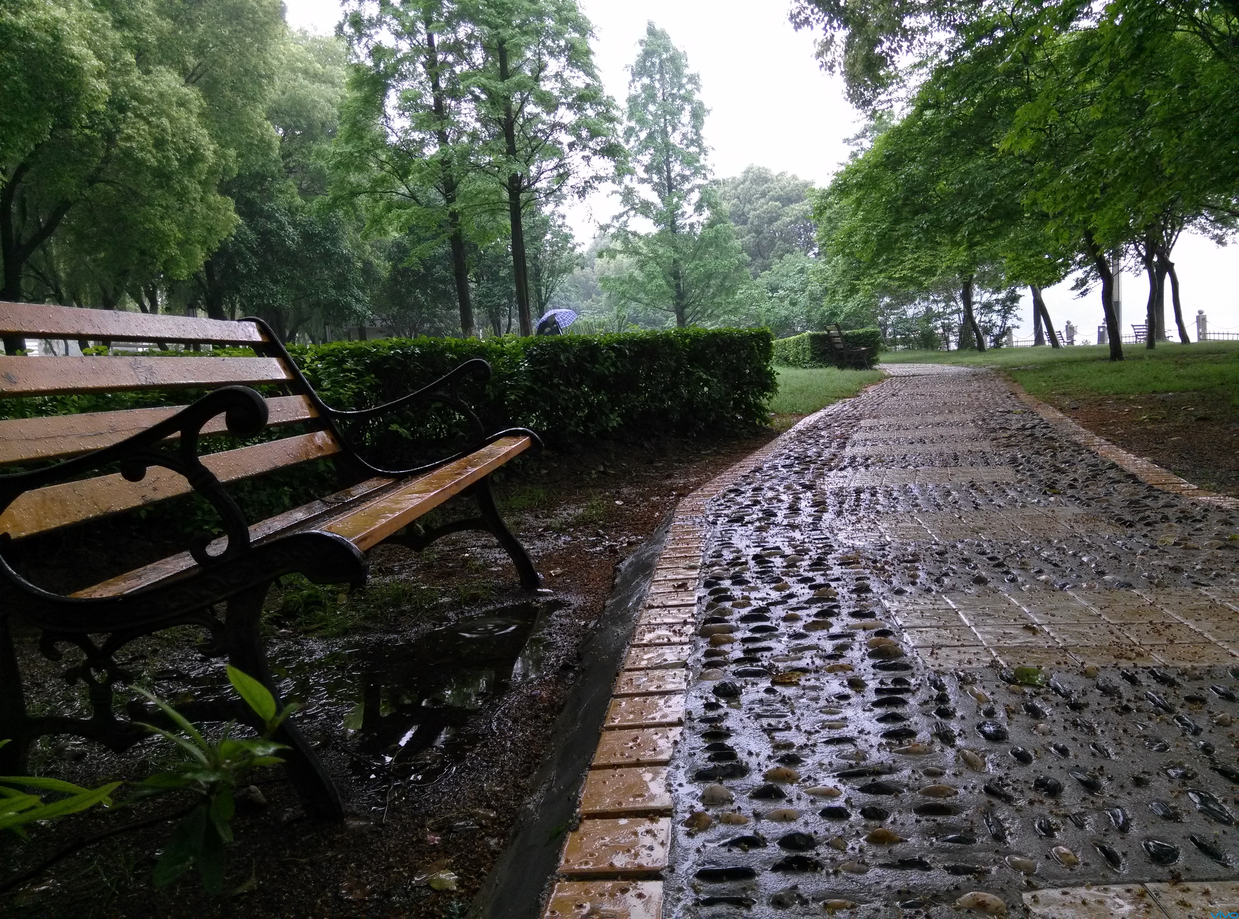 【极致拍摄】雨天的公园