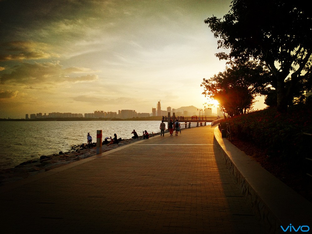 深圳·红树湾夕阳西下