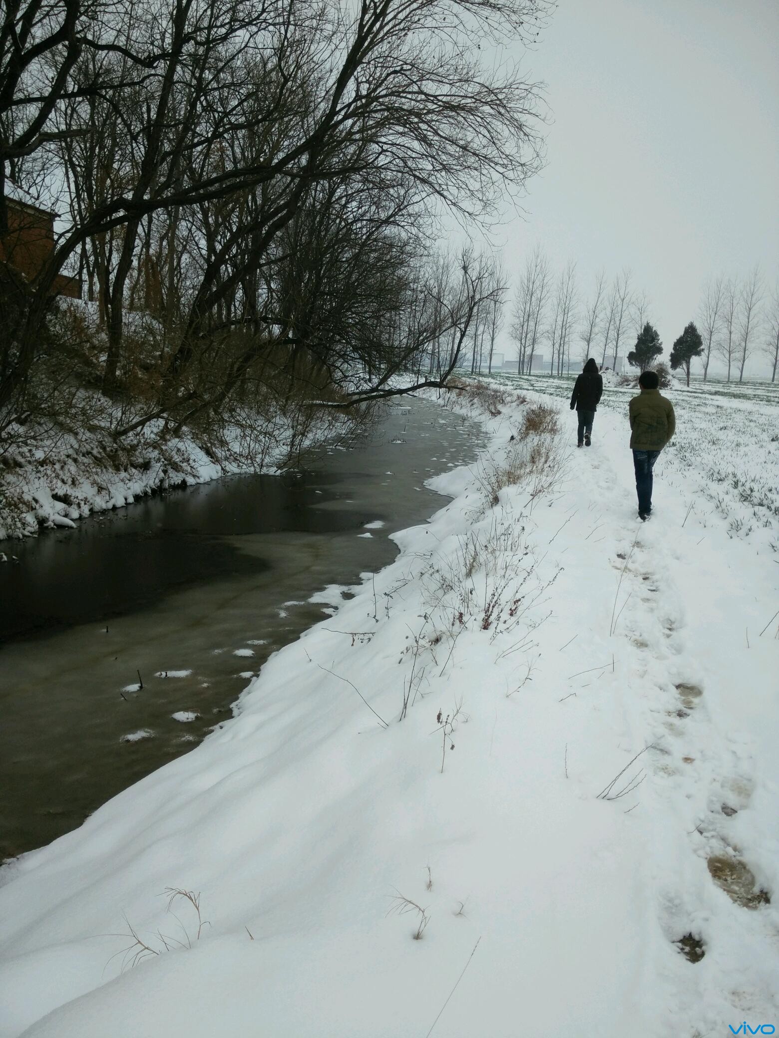 【雪景】美丽农村
