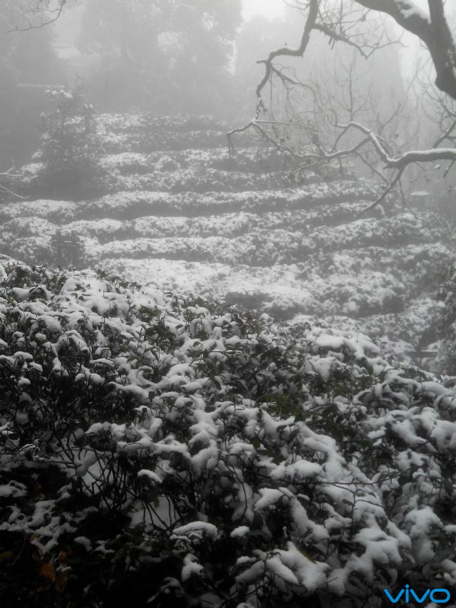 【雪景】四川雅安蒙顶山
