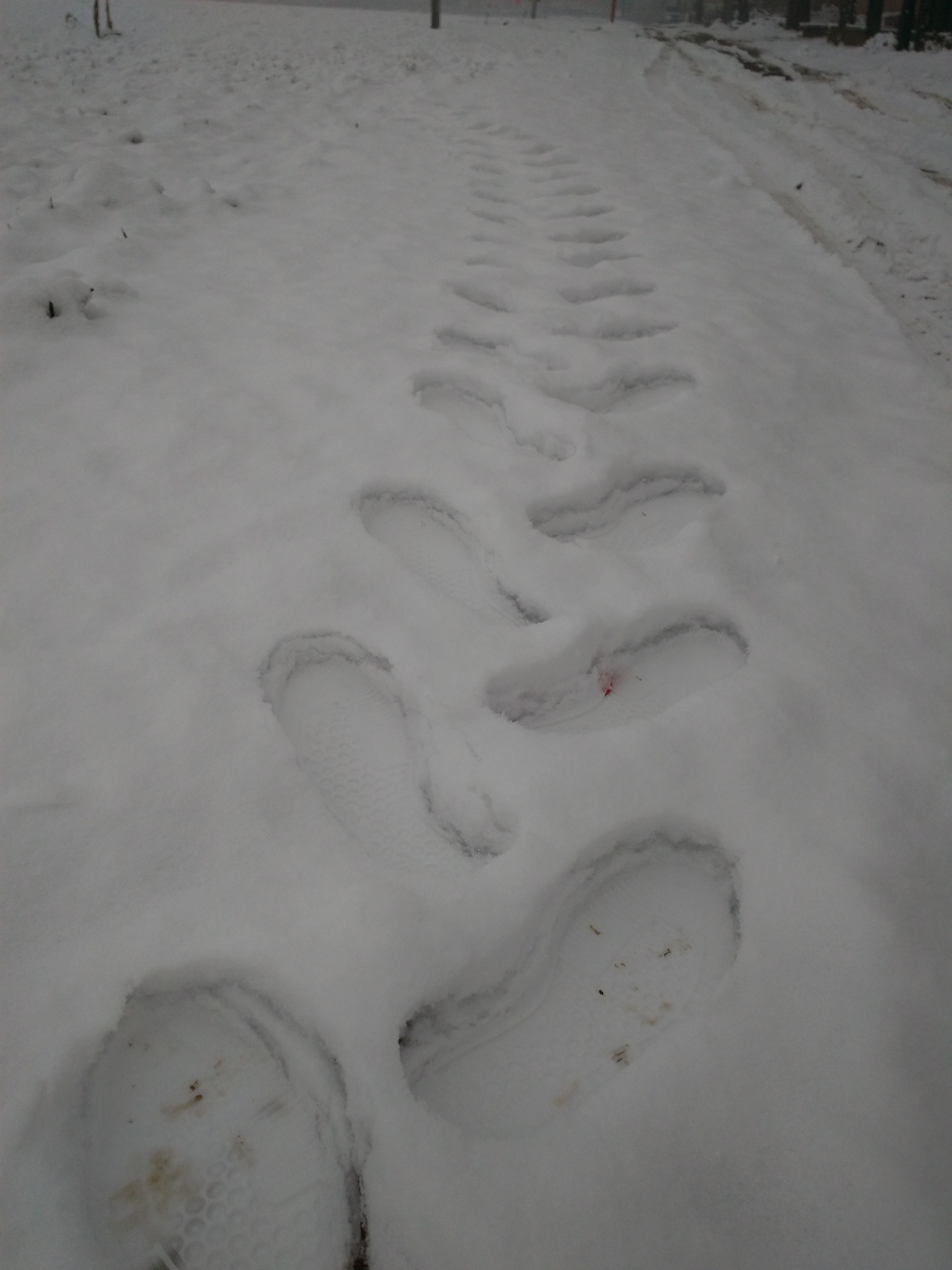 【春节随手拍】踩雪