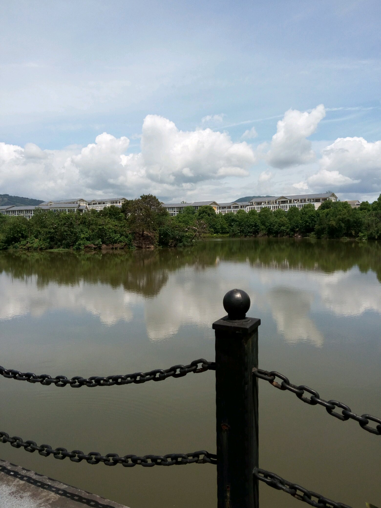 天心岩|除了牛栏坑、慧苑坑、流香涧，天心岩算不算武夷岩茶的三坑两涧？ 书法老师|济南市|历下区|图书