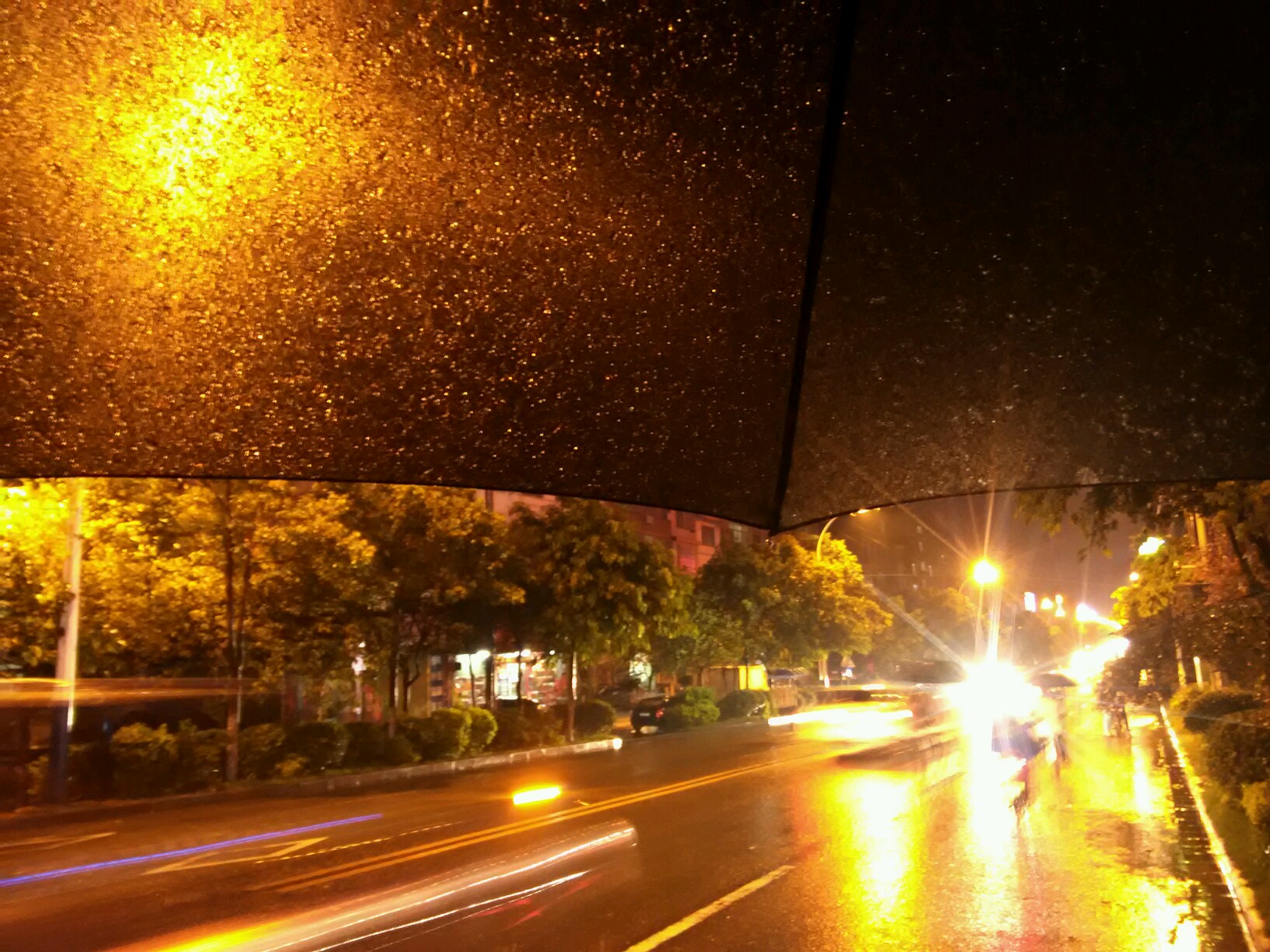 那些下雨的夜晚,你是怎么过来的?