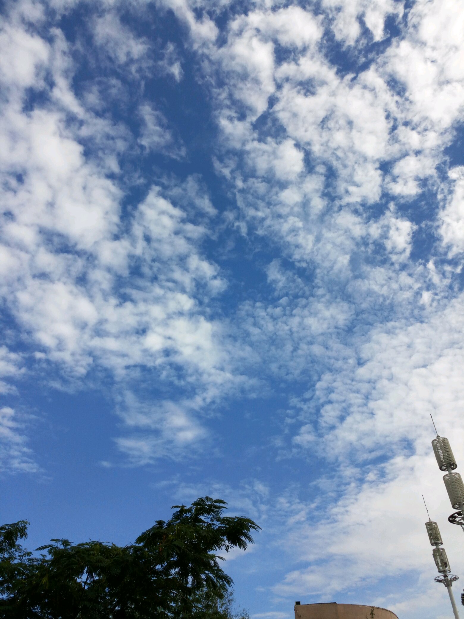 雨后烨晴