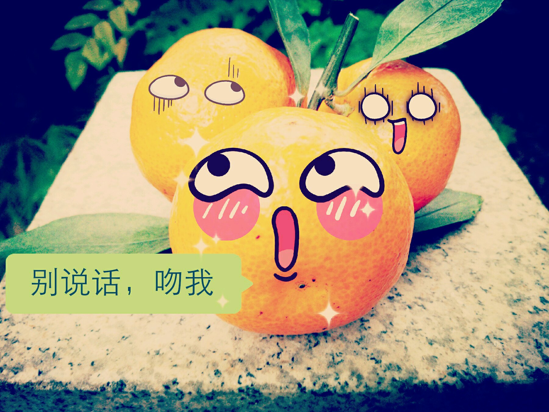 橘子又被我玩坏了