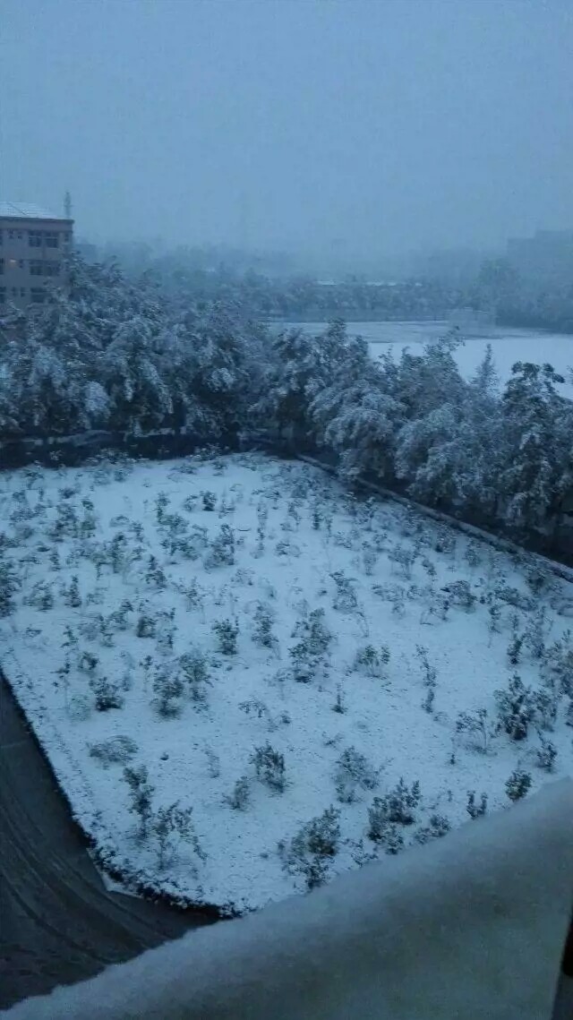 下雪啦