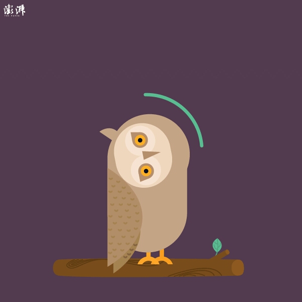 为什么猫头鹰的头可270度转动