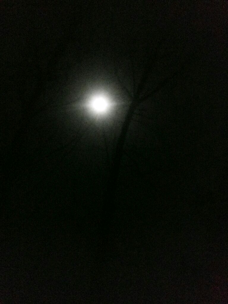 深夜的月亮竟是如此的耀眼