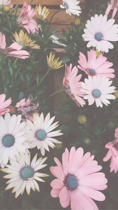 分享: 发布到 #小清新#花朵#风景#高清手机锁屏壁纸""( 发表评论