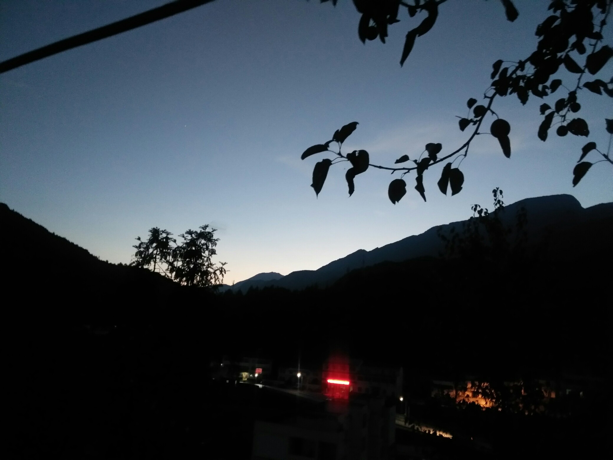 vivoy37 ҹ