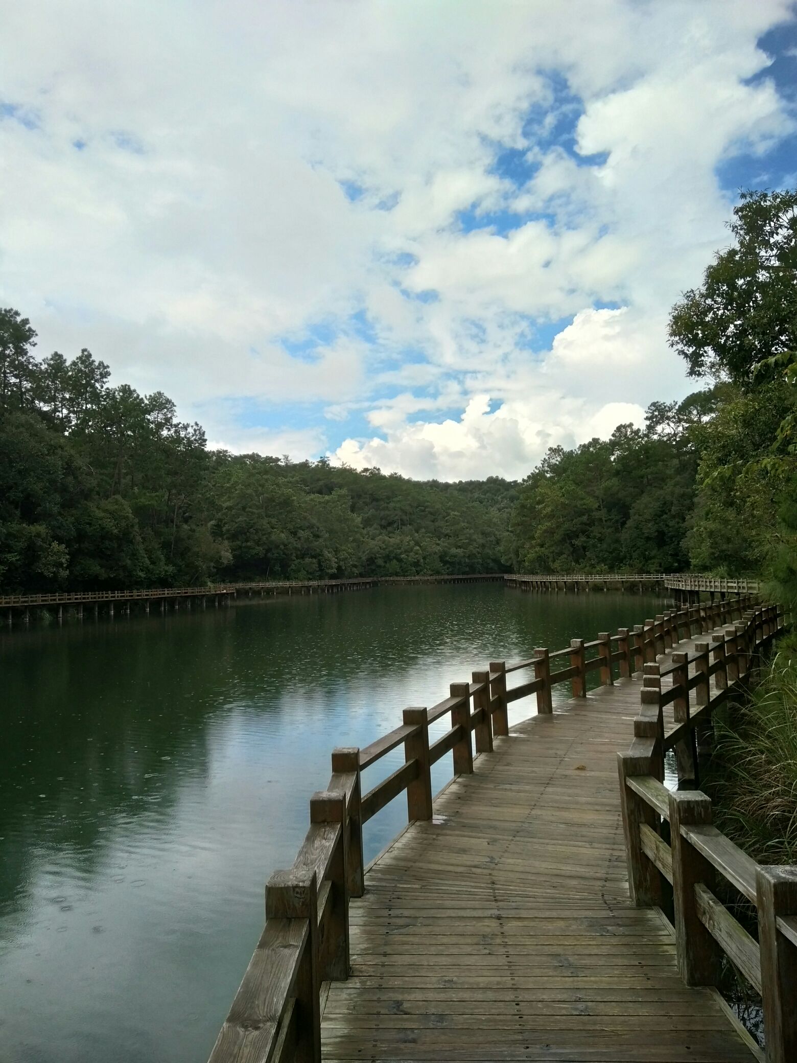 西双版纳风景