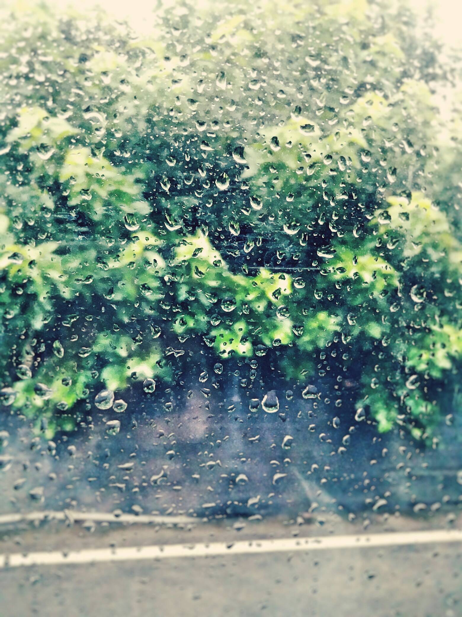 下雨天,窗外的雨滴