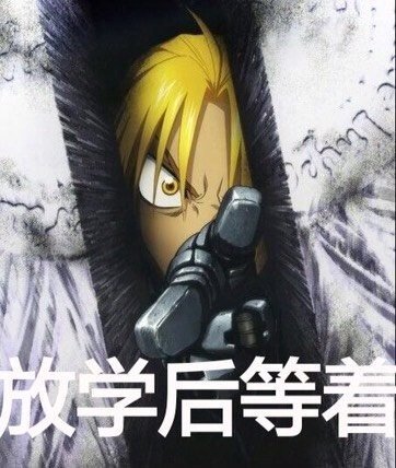 【v粉表情包】钢之炼金术士