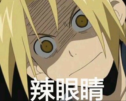 【v粉表情包】钢之炼金术士