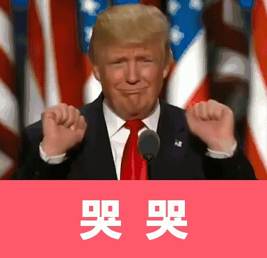【v粉表情包】美国总统正式加入中国表情包