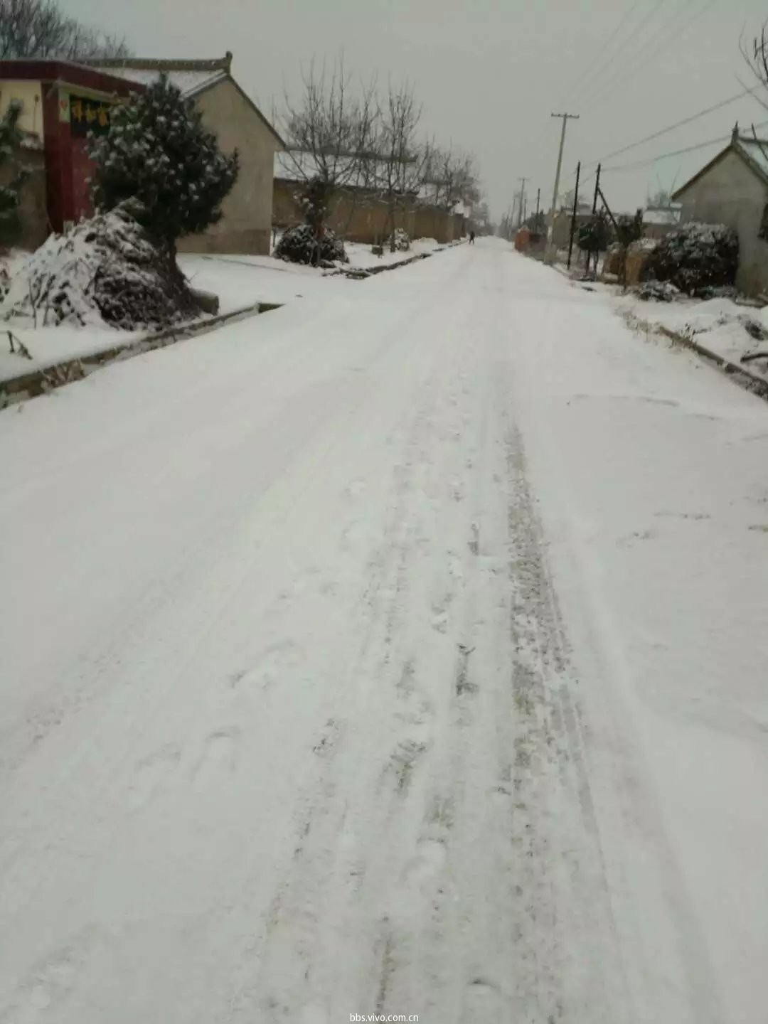 【最美雪景】甘肃泾川老家