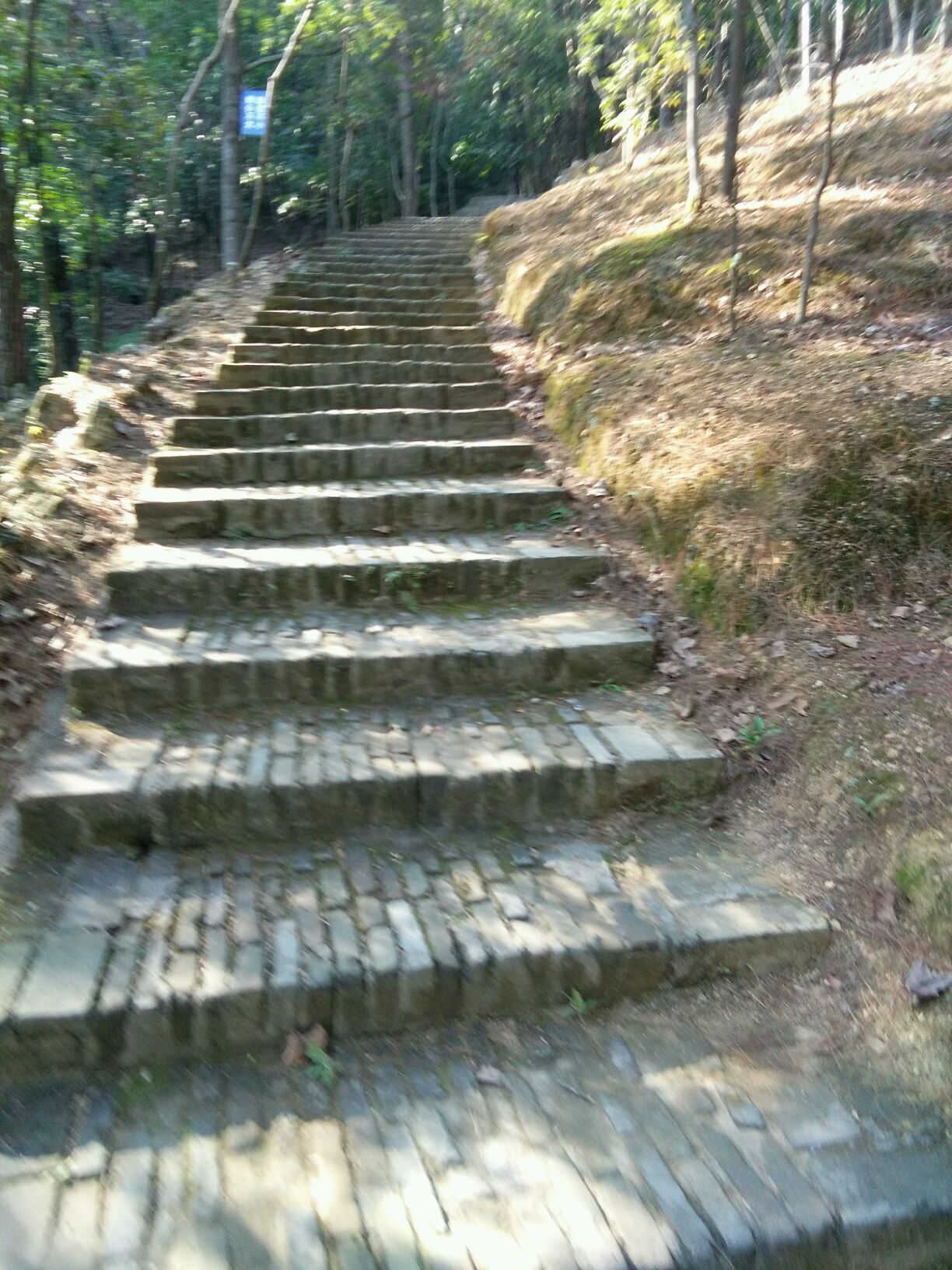 又游会昌岚山