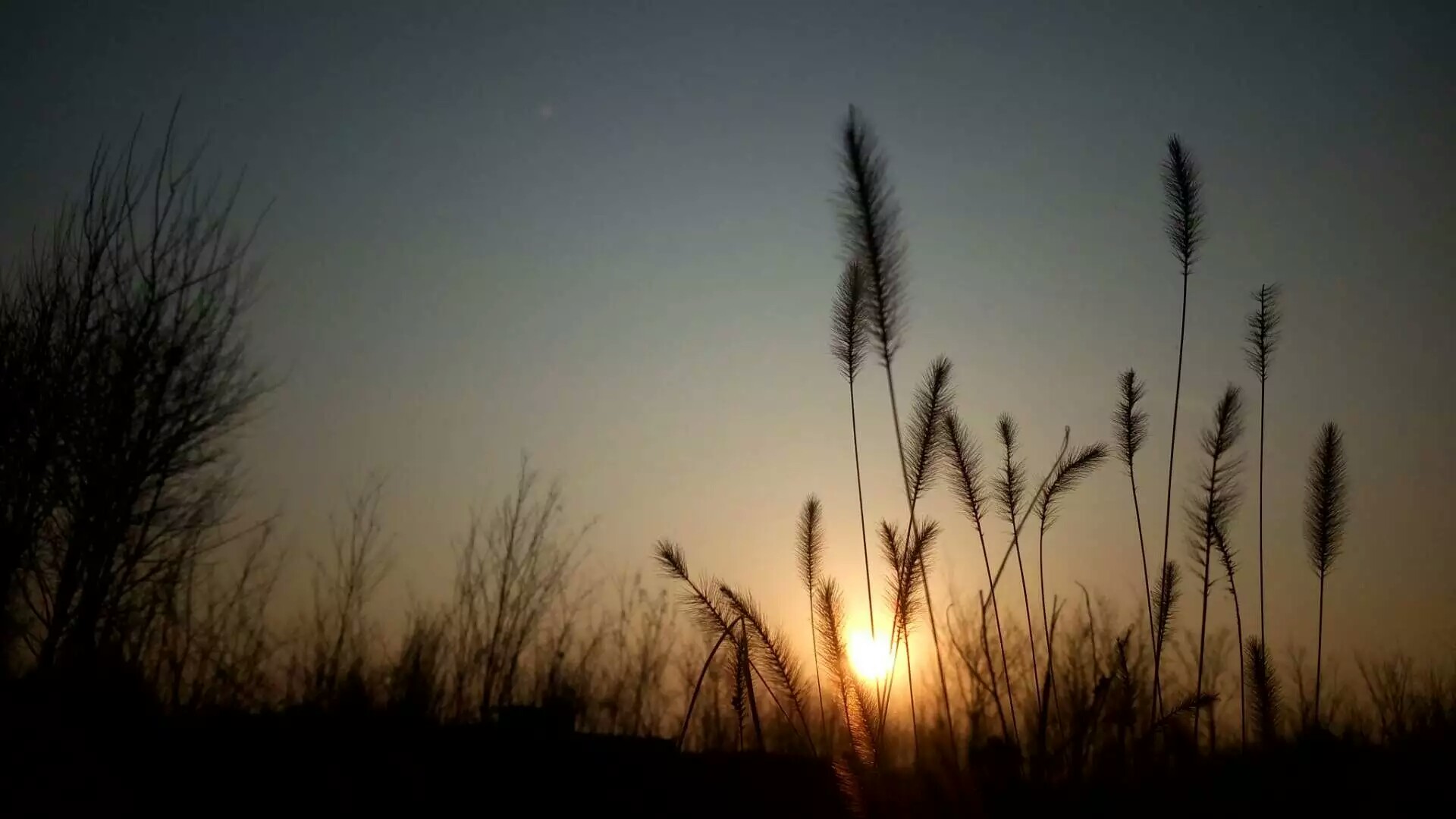逆光,夕阳