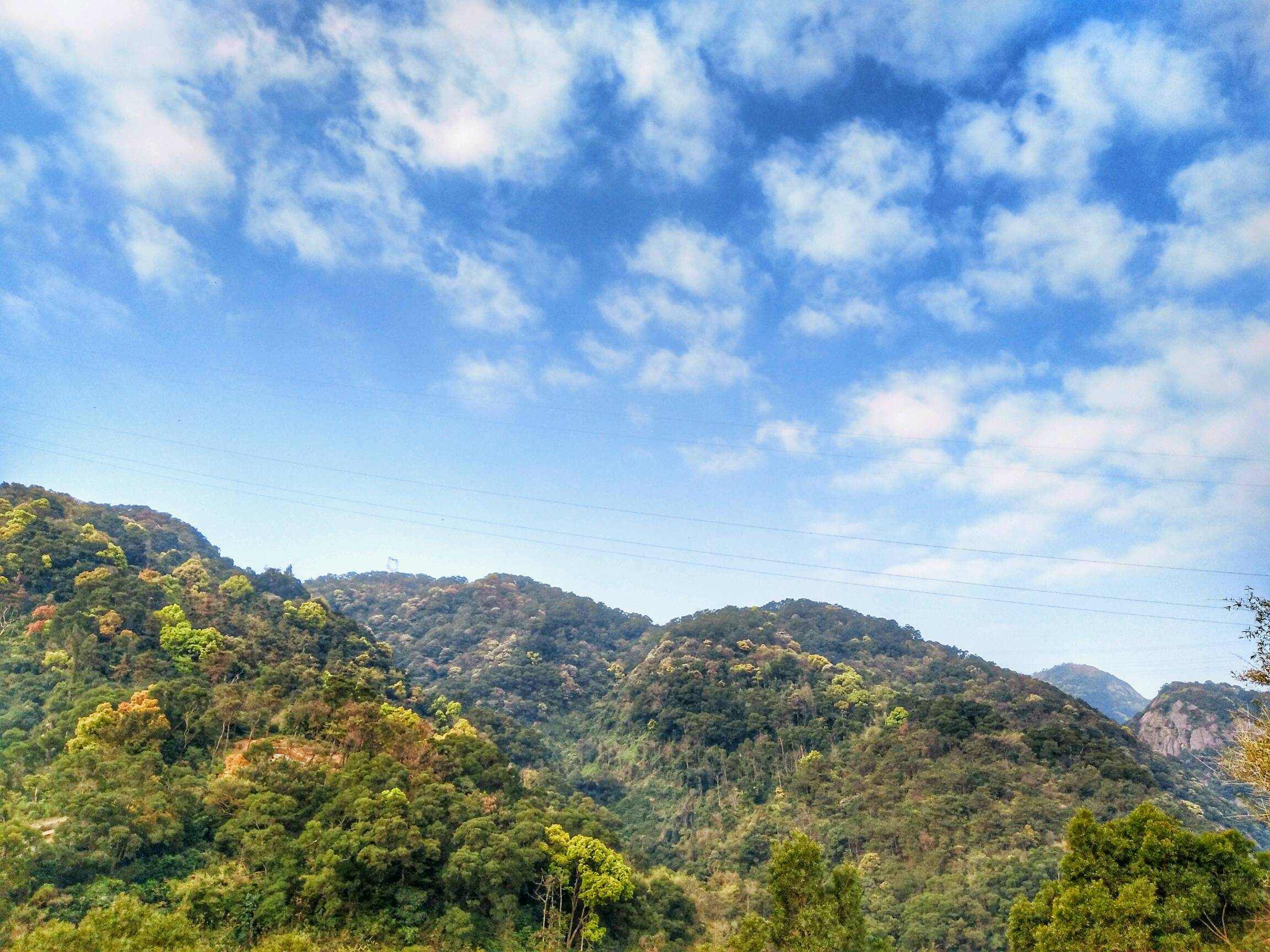 山里,别致的风景