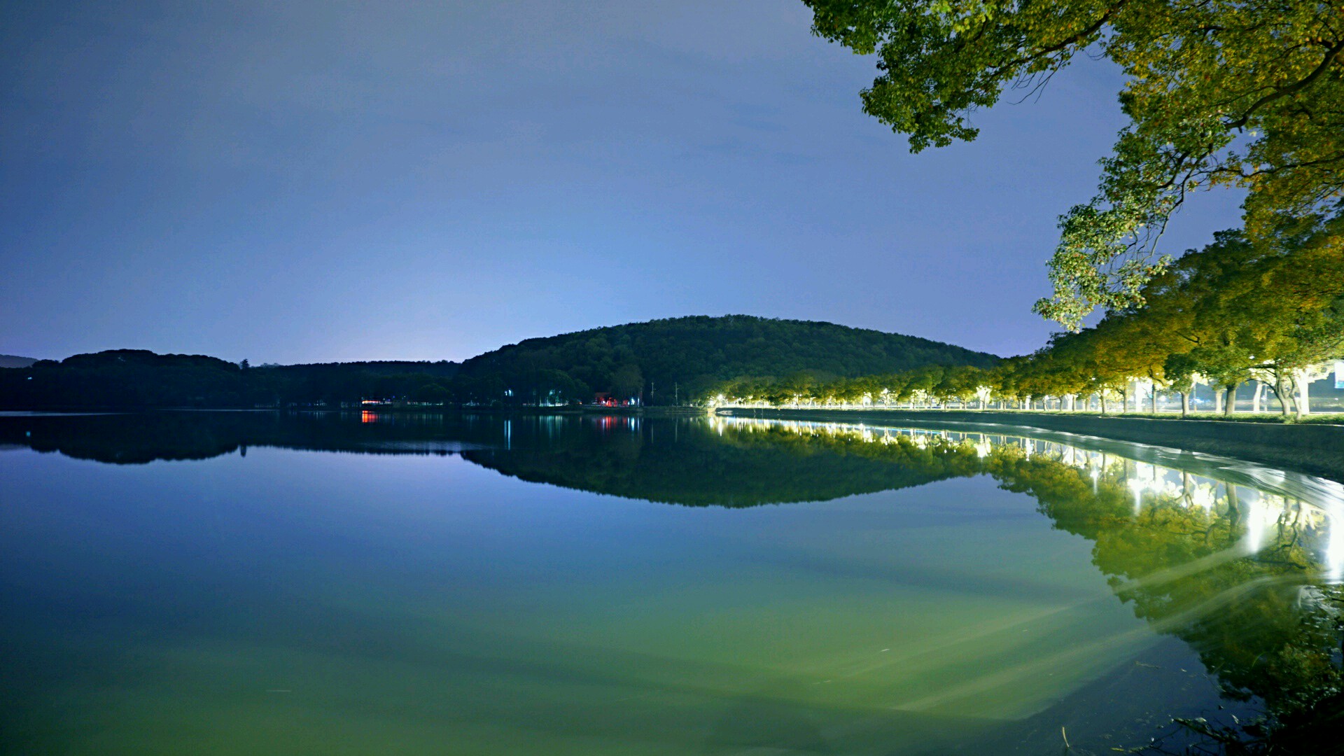 东湖绿道夜景