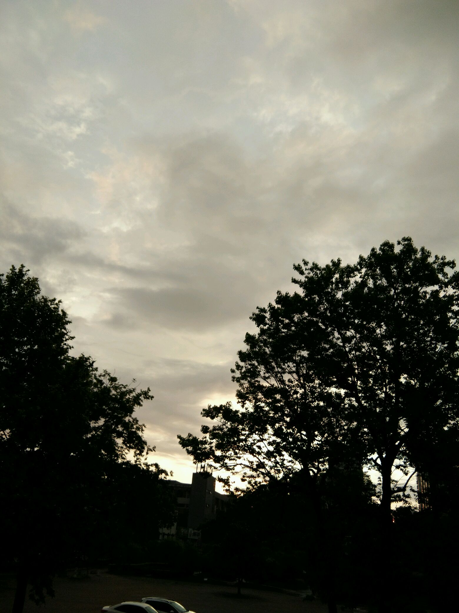 【城市记忆】下雨天的早晨