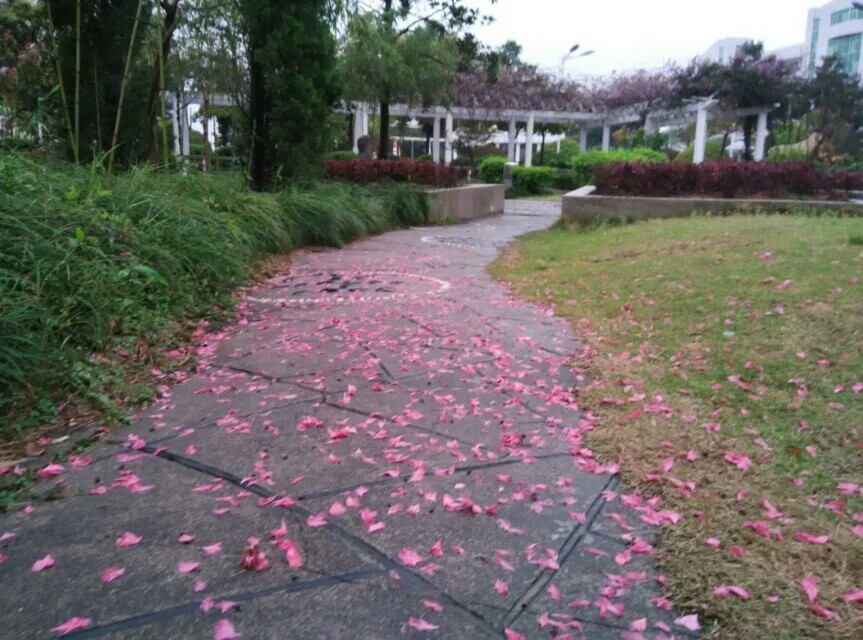 安徽省六安市双河中学