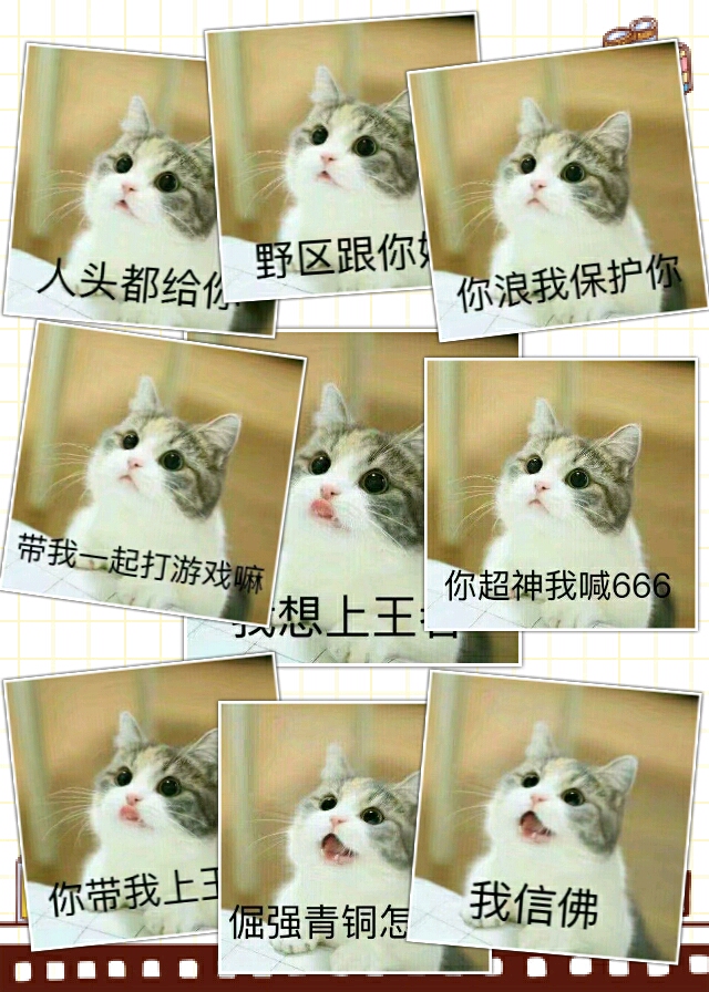 【v粉表情包】王者求带
