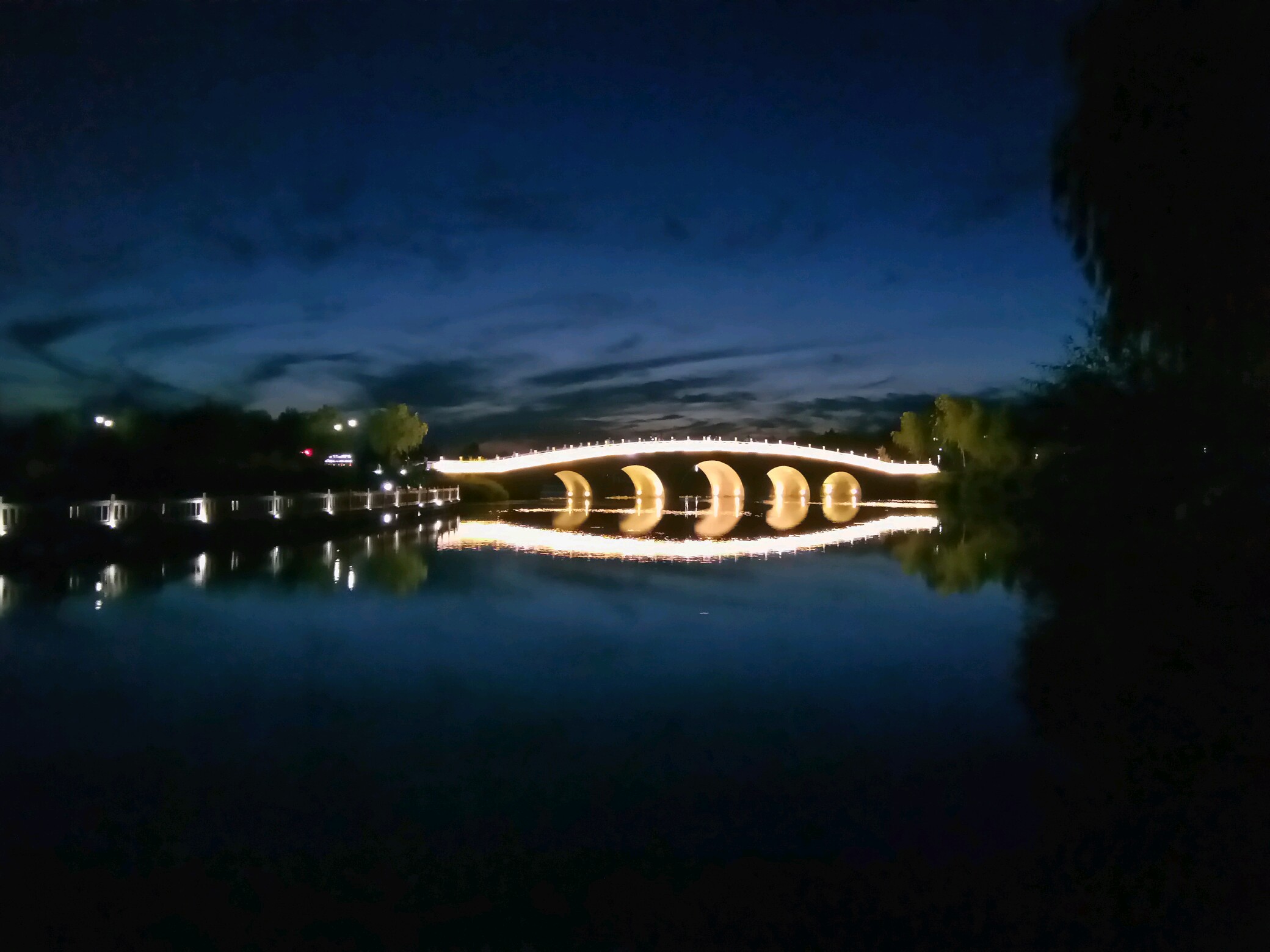 湿地公园桥夜景