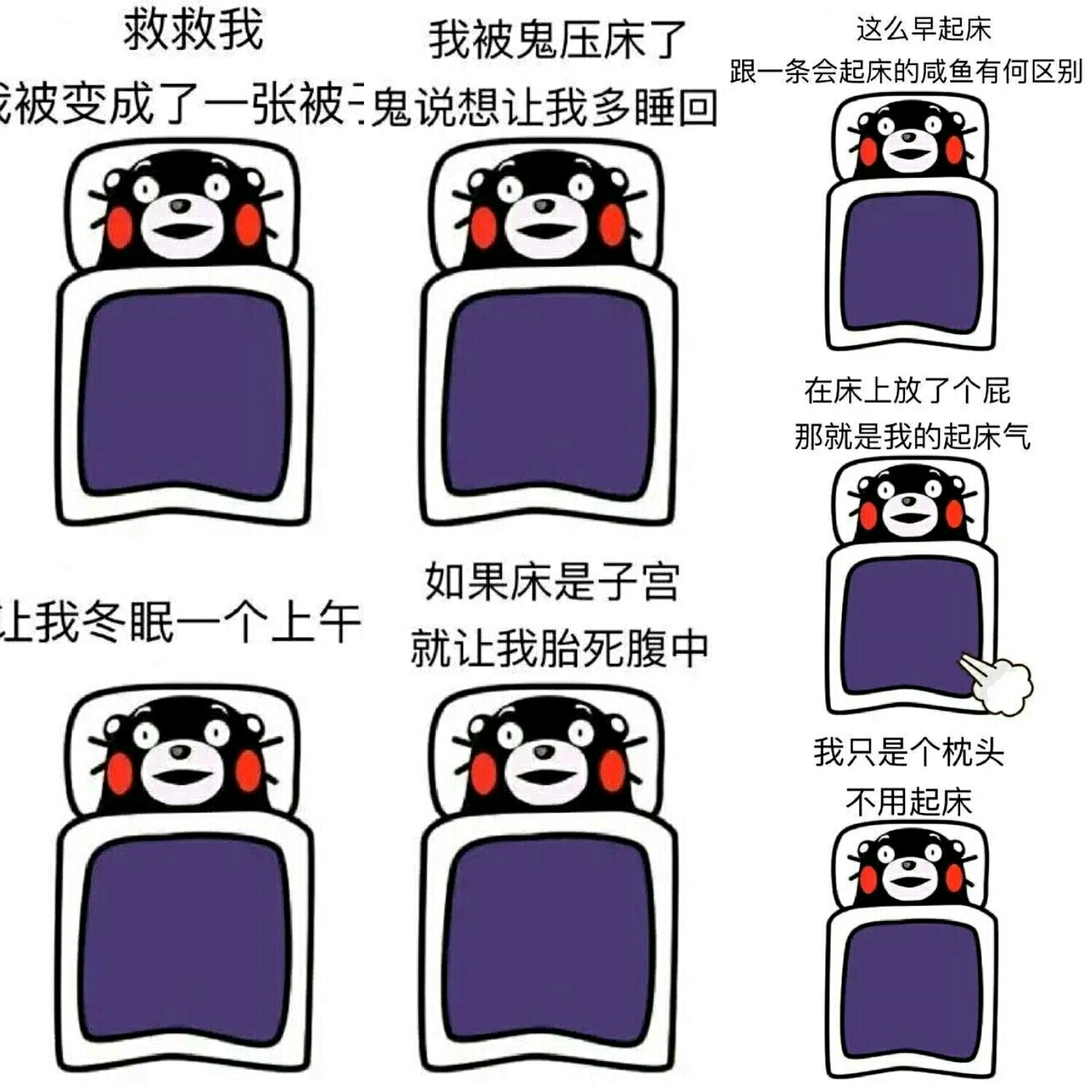 【v粉表情包】熊本熊,起床