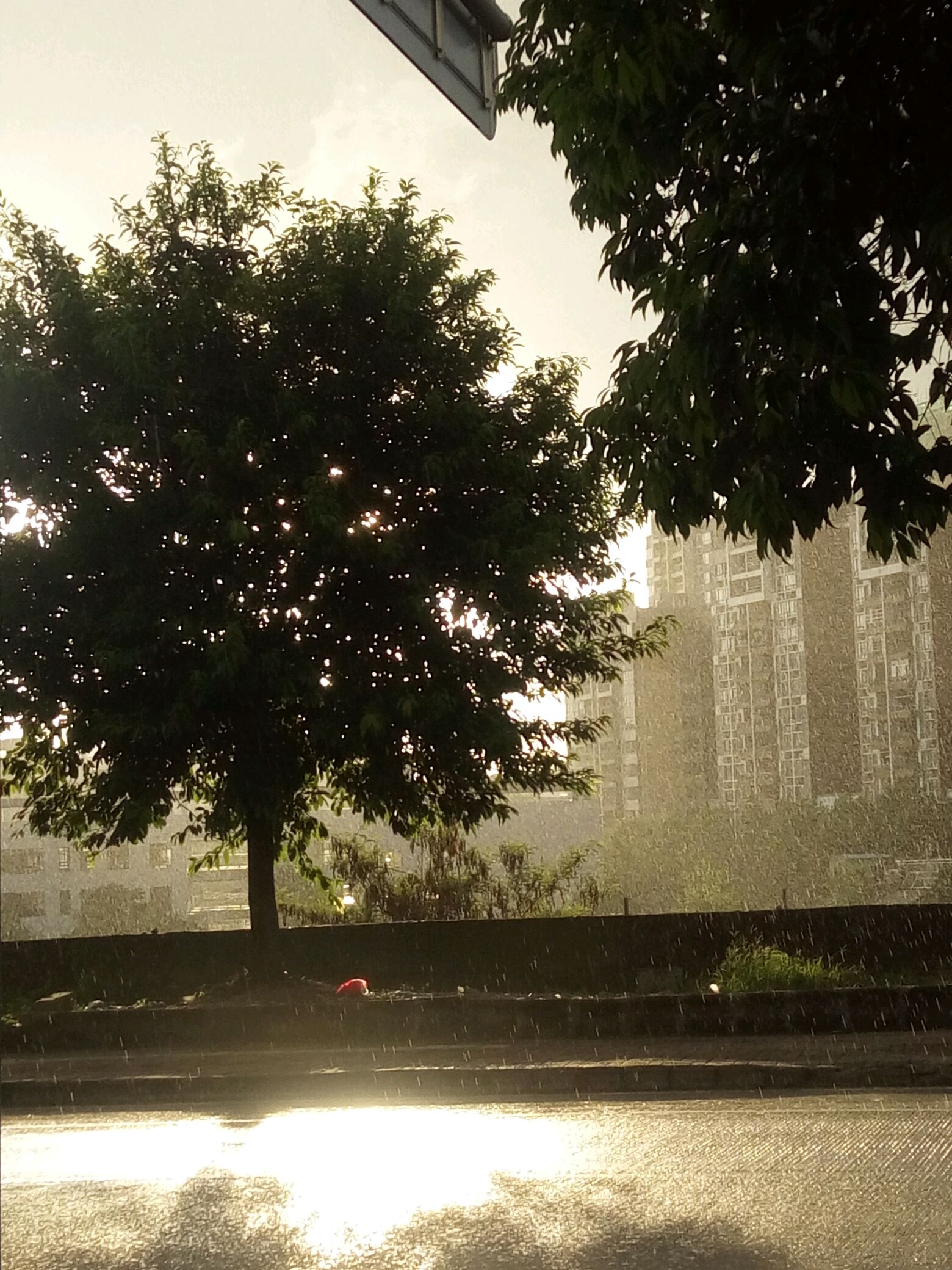 太阳中下雨很美