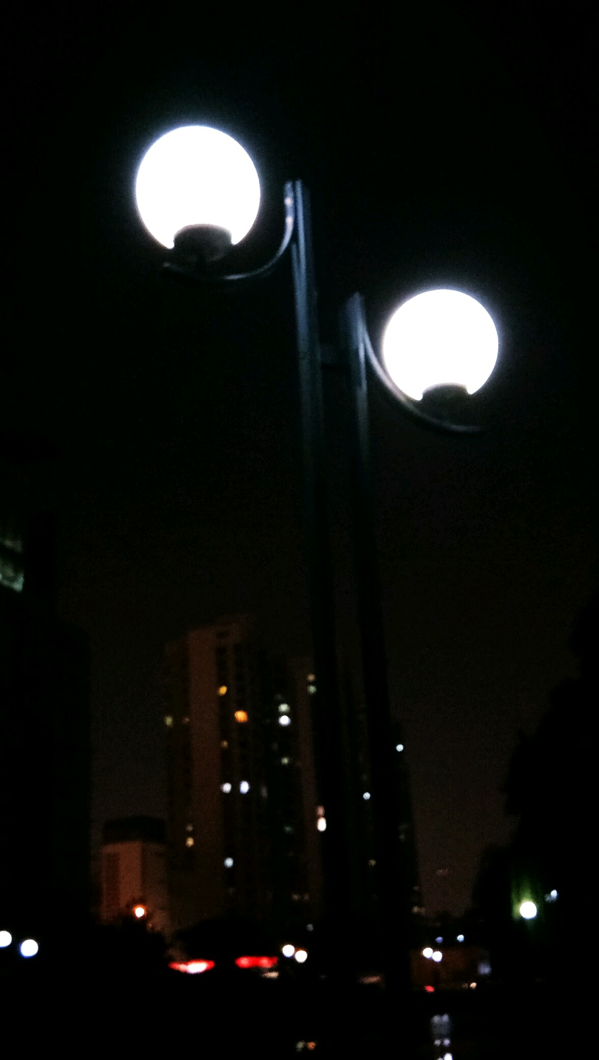 每日一拍#夜明珠