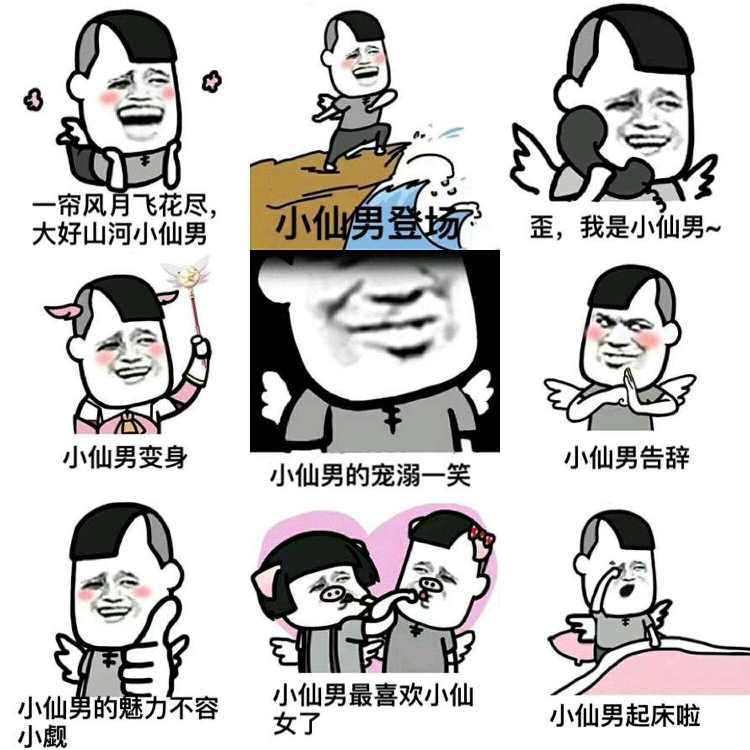 【v粉表情包】小仙男登场