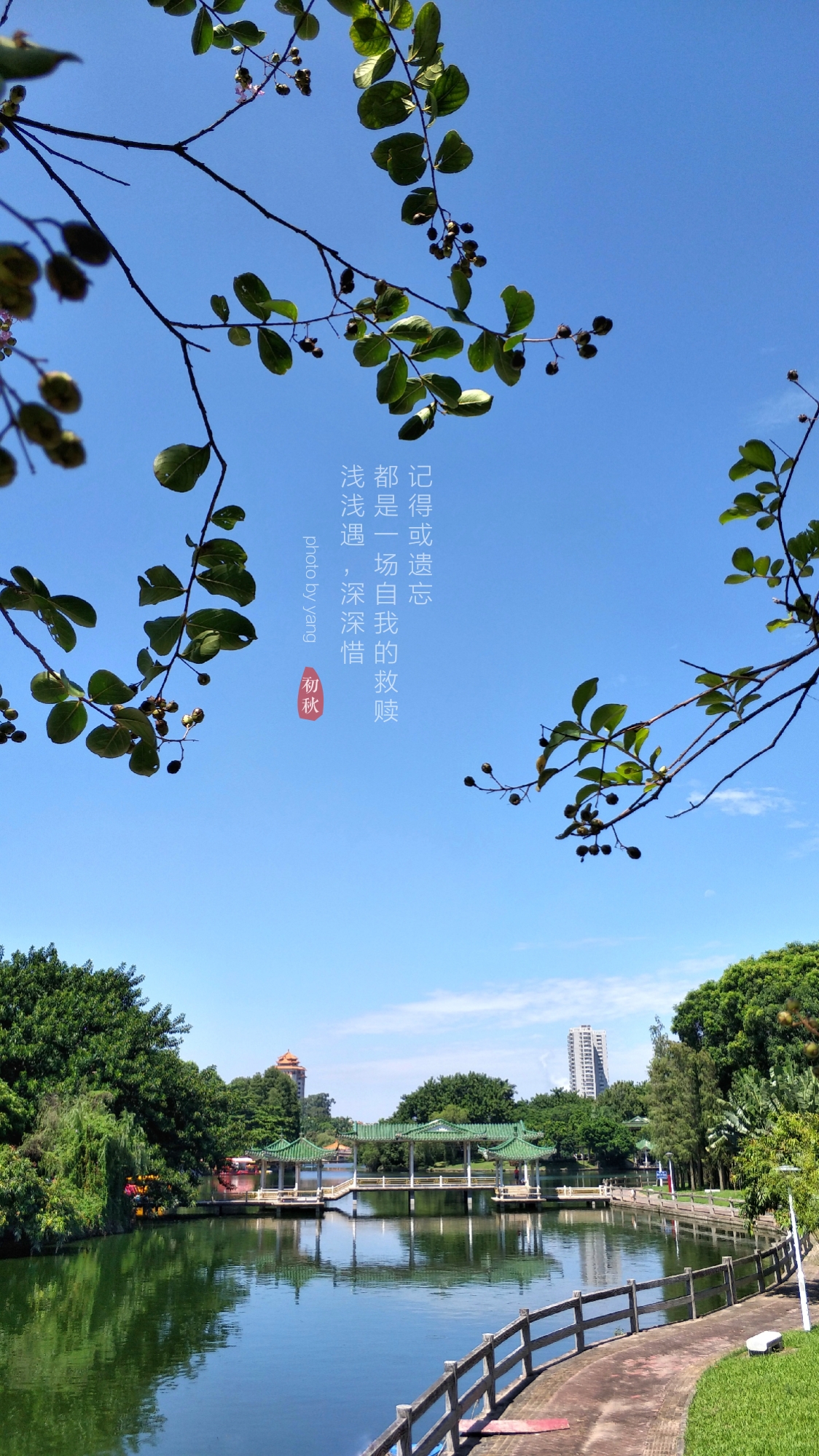 初秋时光:                                     守住那段时光