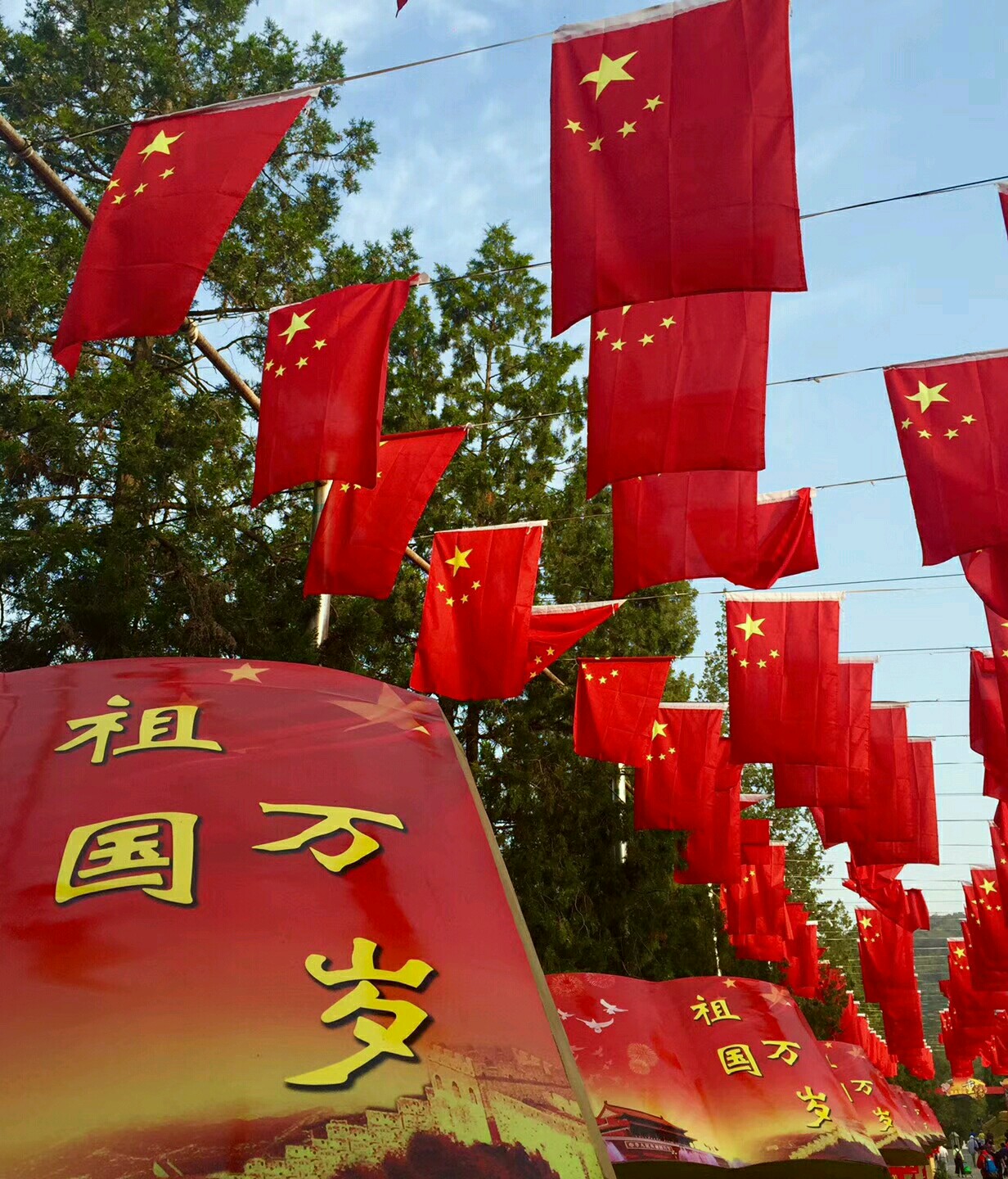 红红火火,蒸蒸日上!