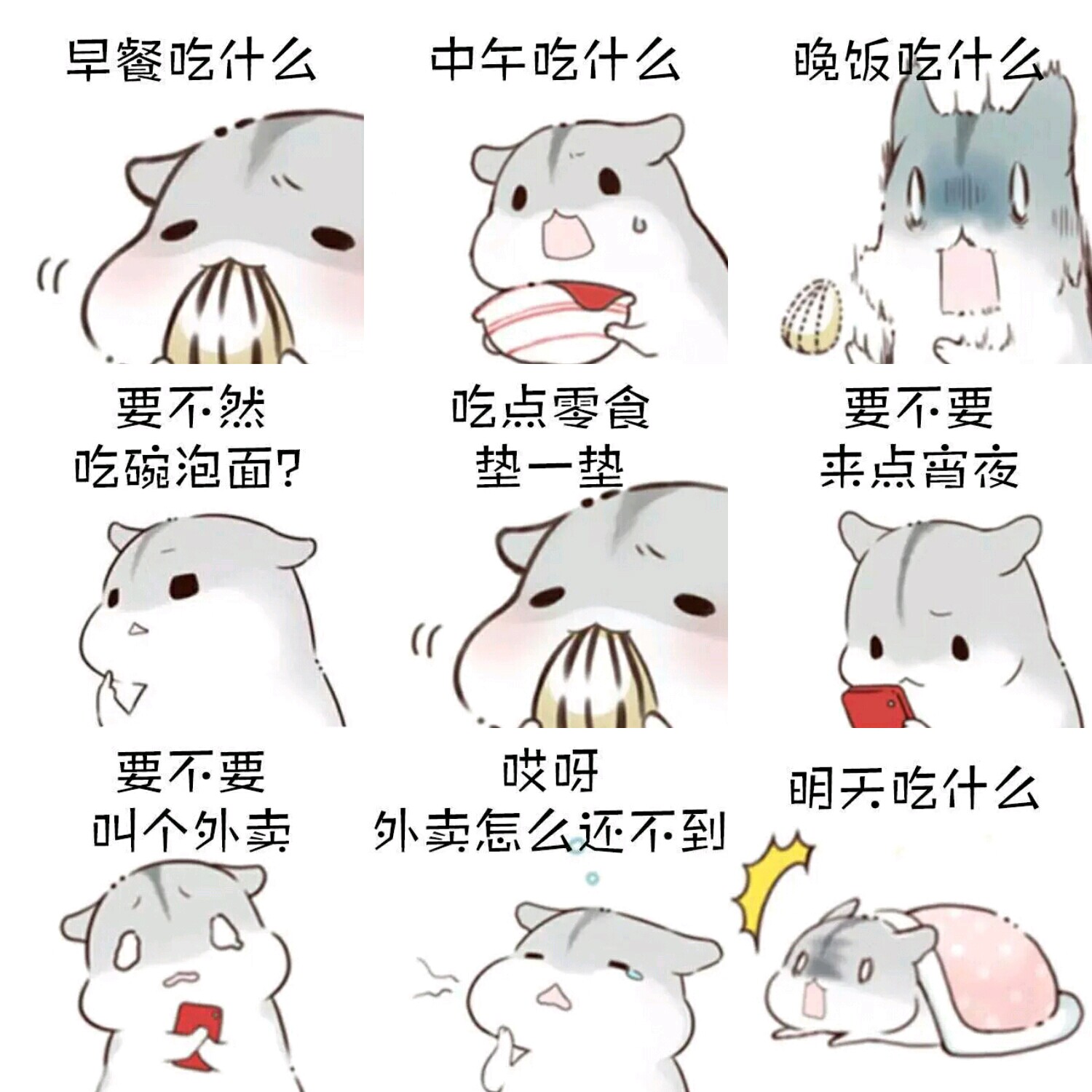 【v粉表情包】小仓鼠,吃什么