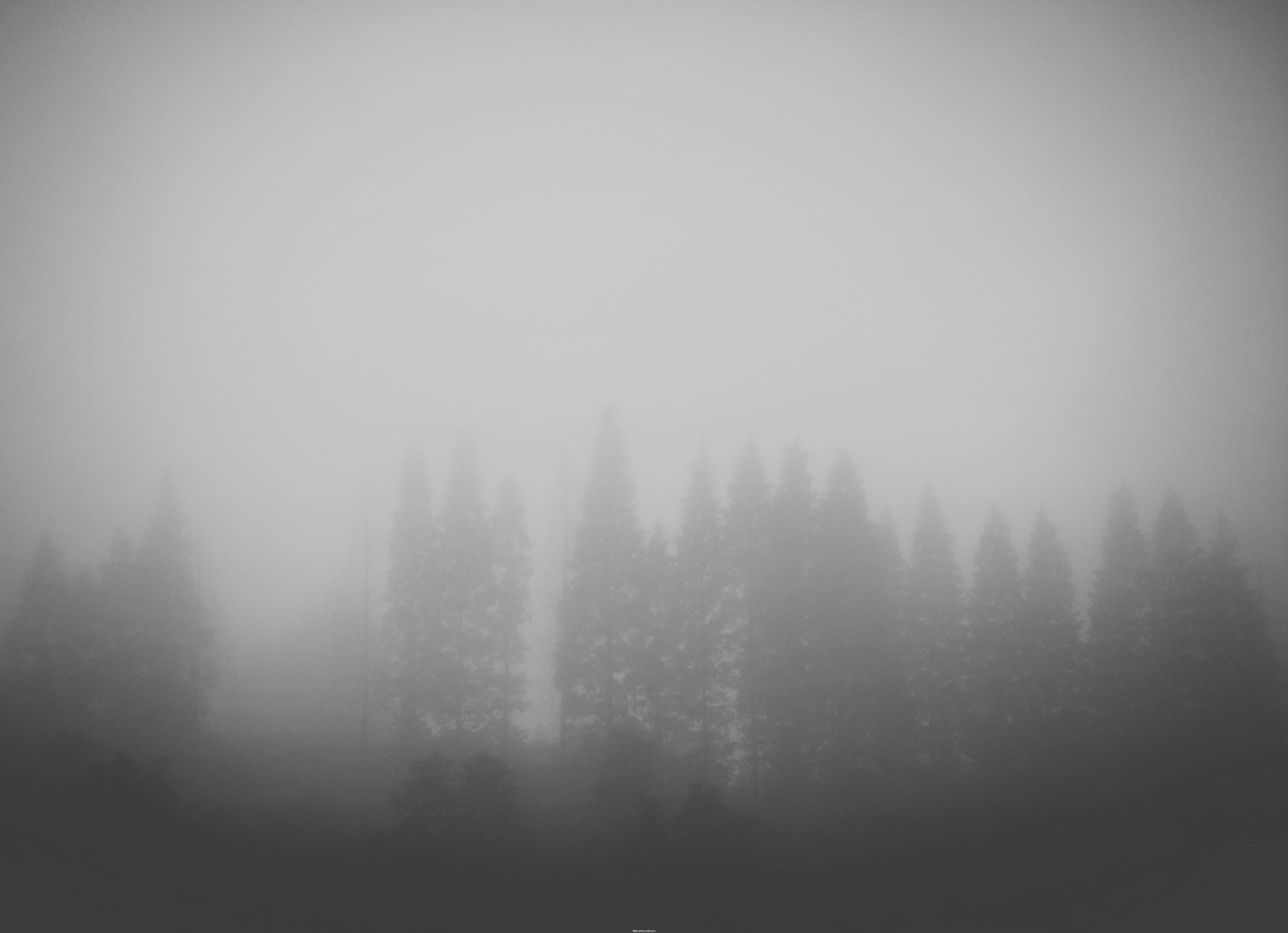 每日一拍#雨雾
