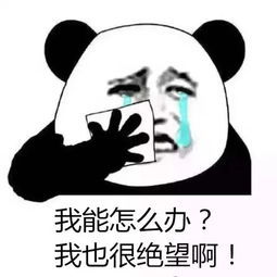 你,经历过绝望吗?