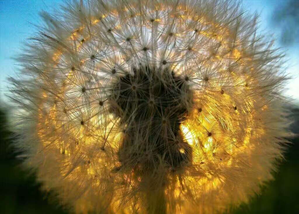 面对今天,向往明天