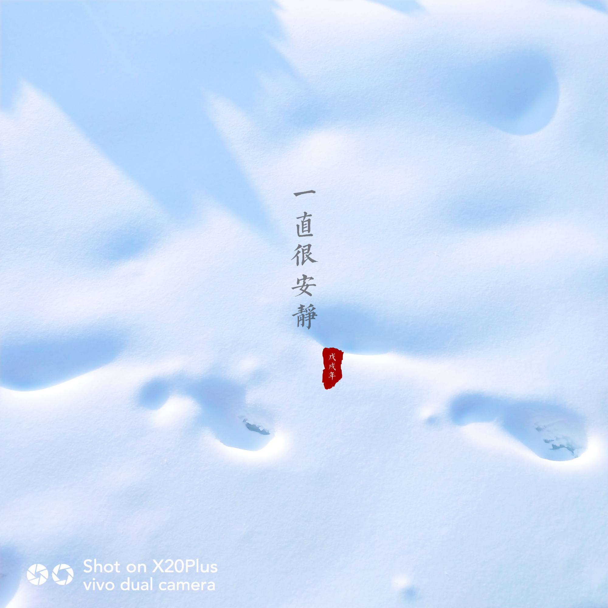 下雪了,一直飘,一直落,一直很安静