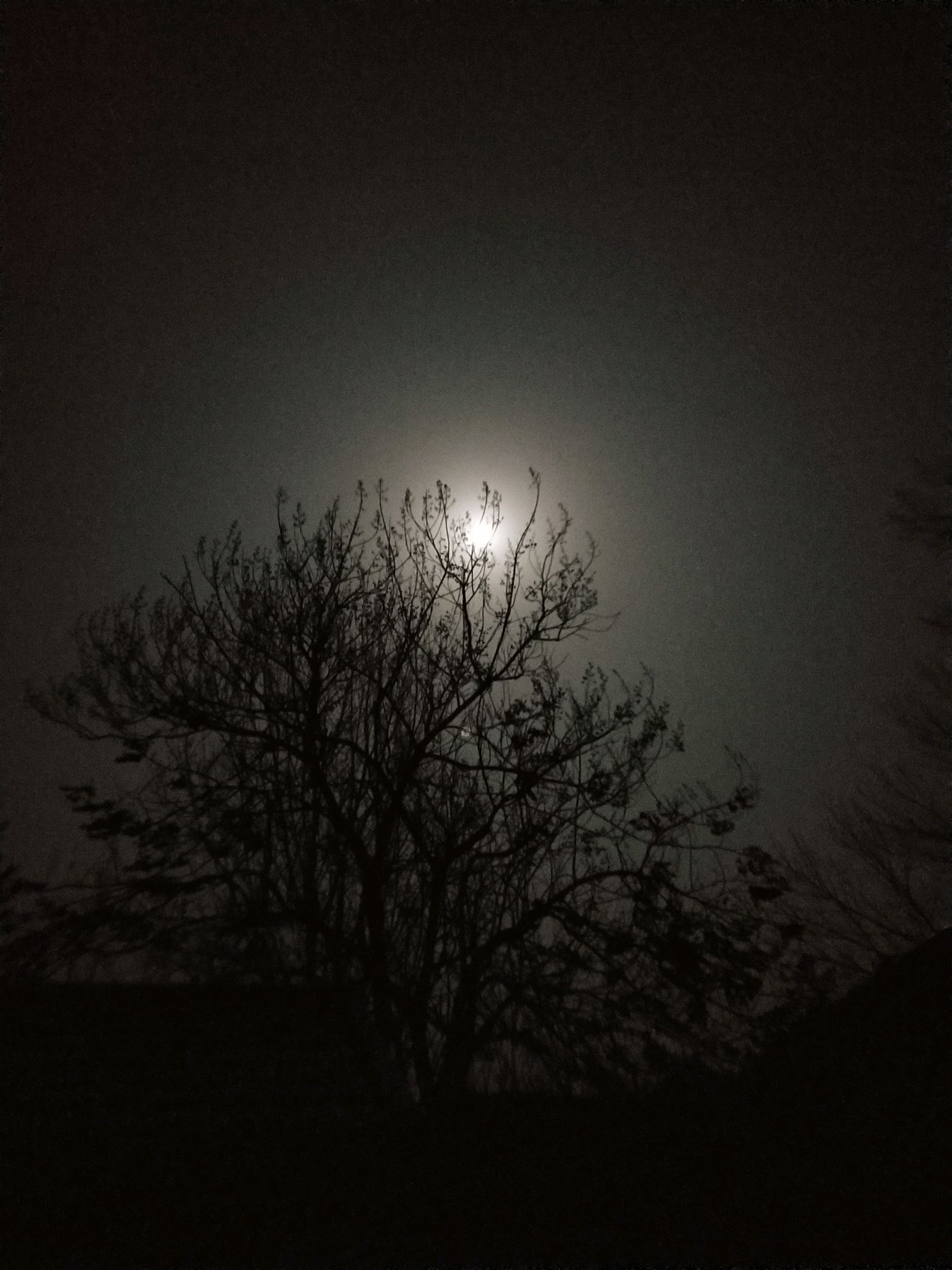 乡下的月亮