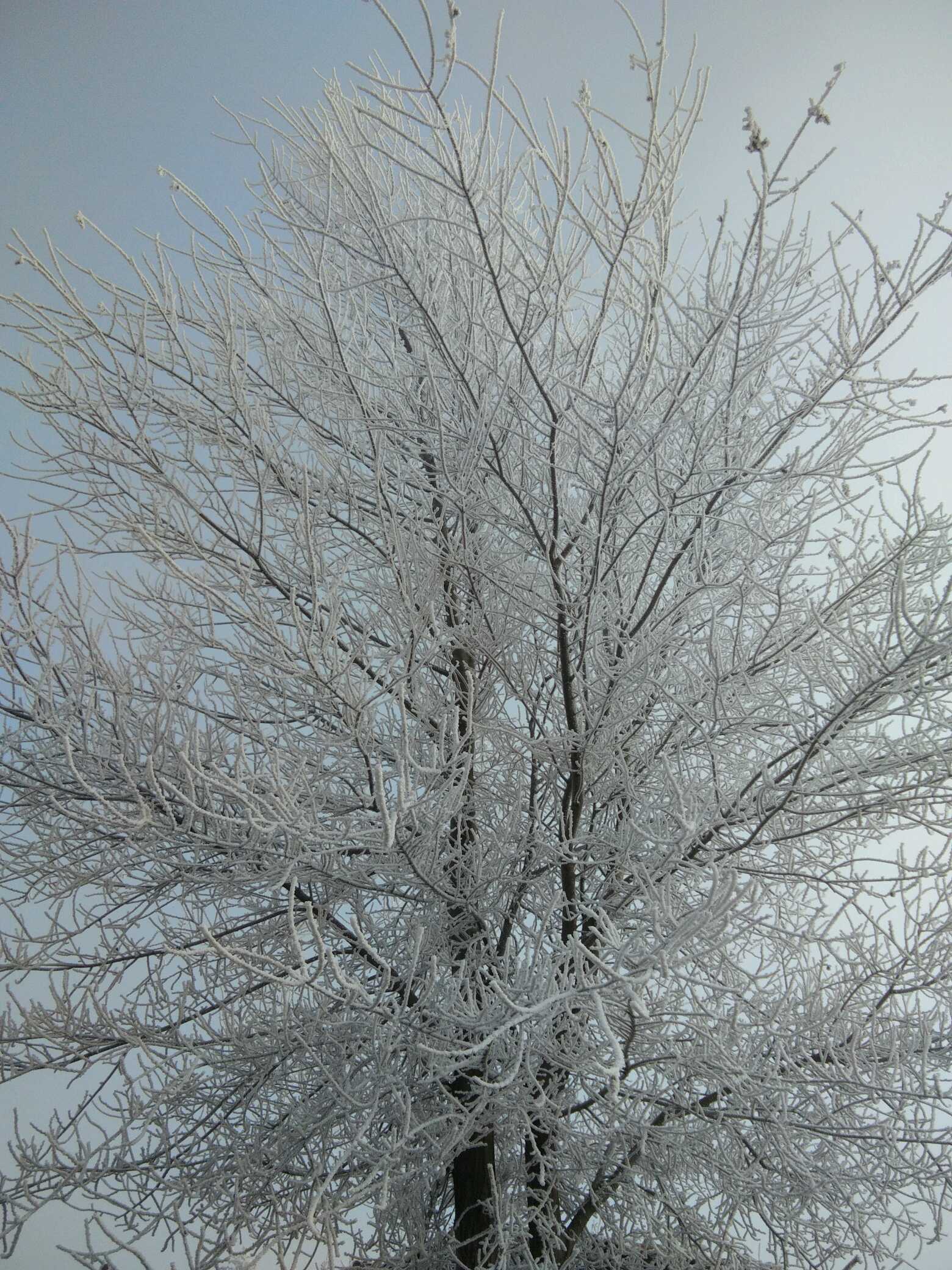 雪景 没p过
