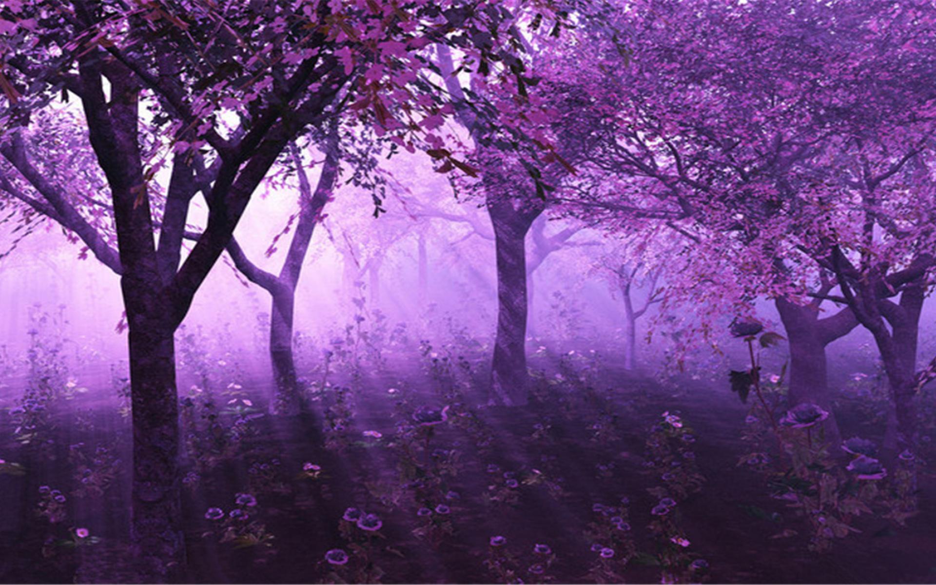 紫色夕阳-风景高清壁纸预览 | 10wallpaper.com
