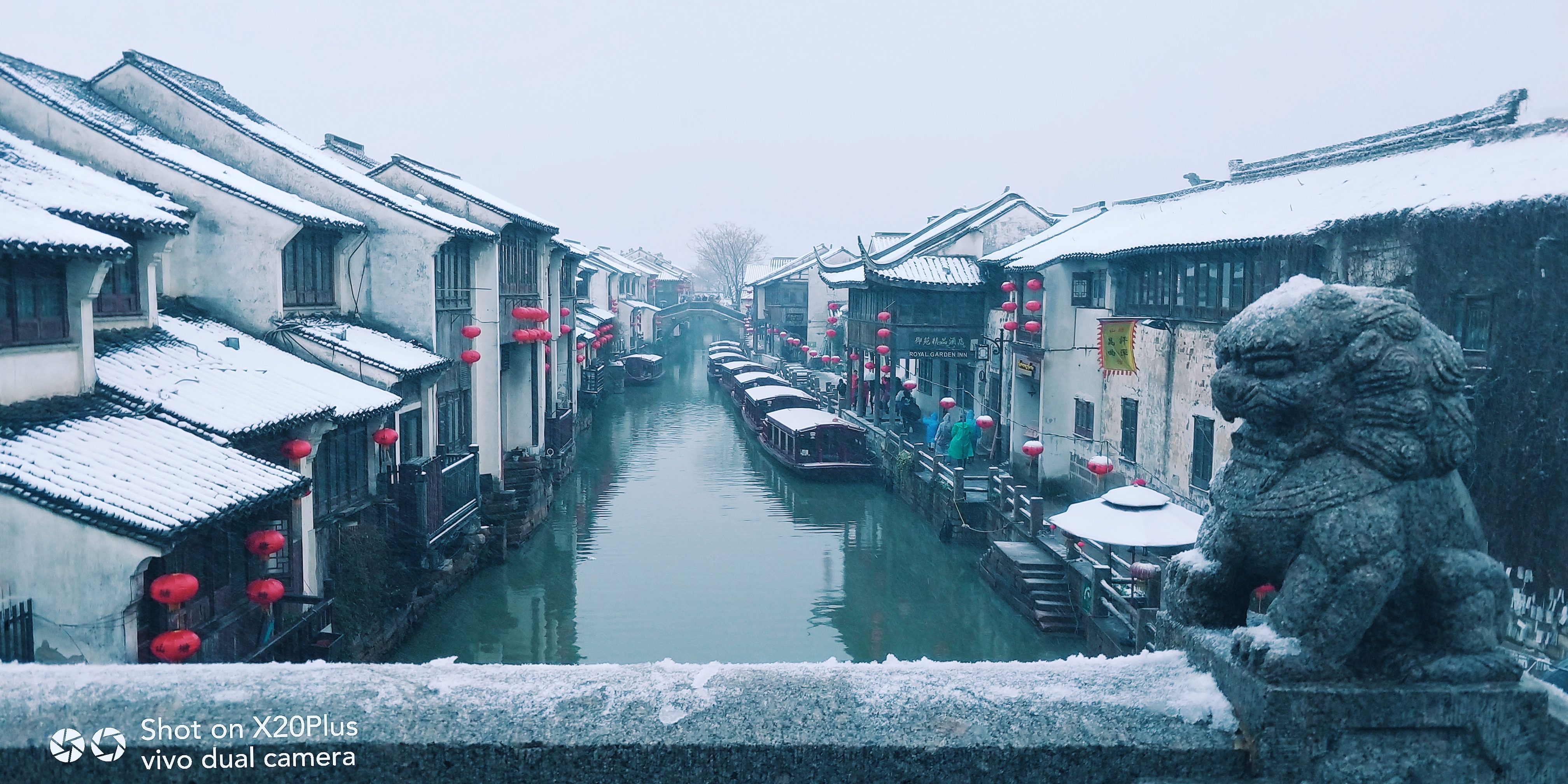 【中国好风光】雪落姑苏