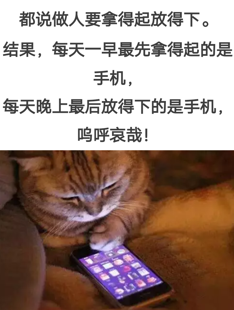 做人难,放下手机更难!
