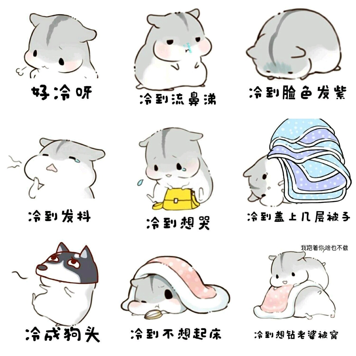 【v粉表情包】小仓鼠,好冷啊