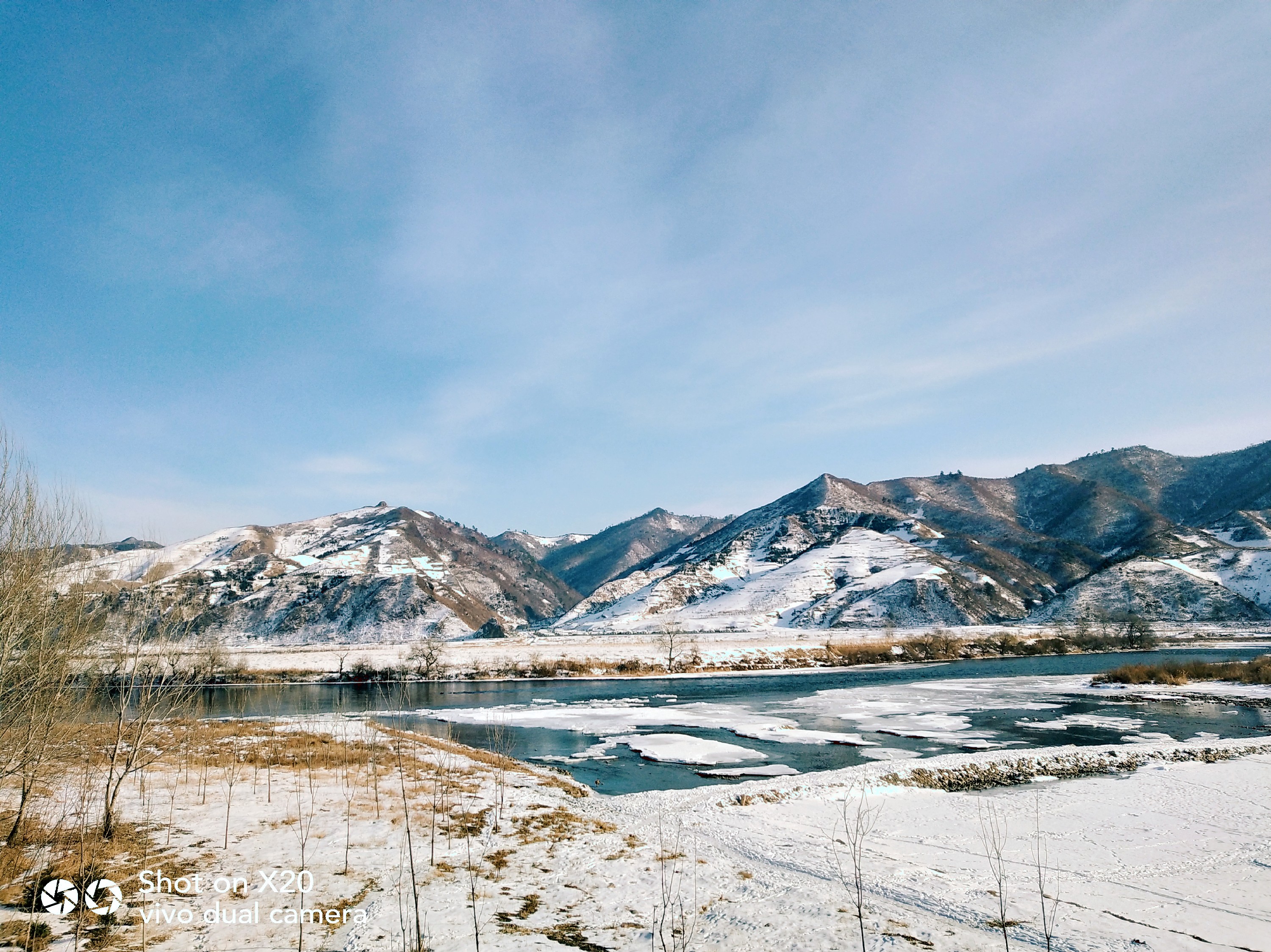 【随手拍雪景】这是我家的冬天
