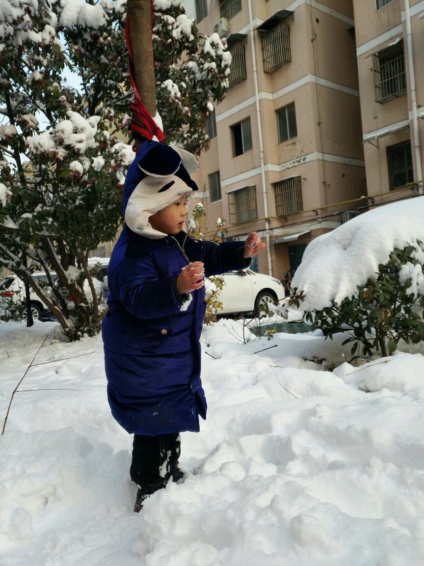 【随手拍雪景】 小孩对雪的感知