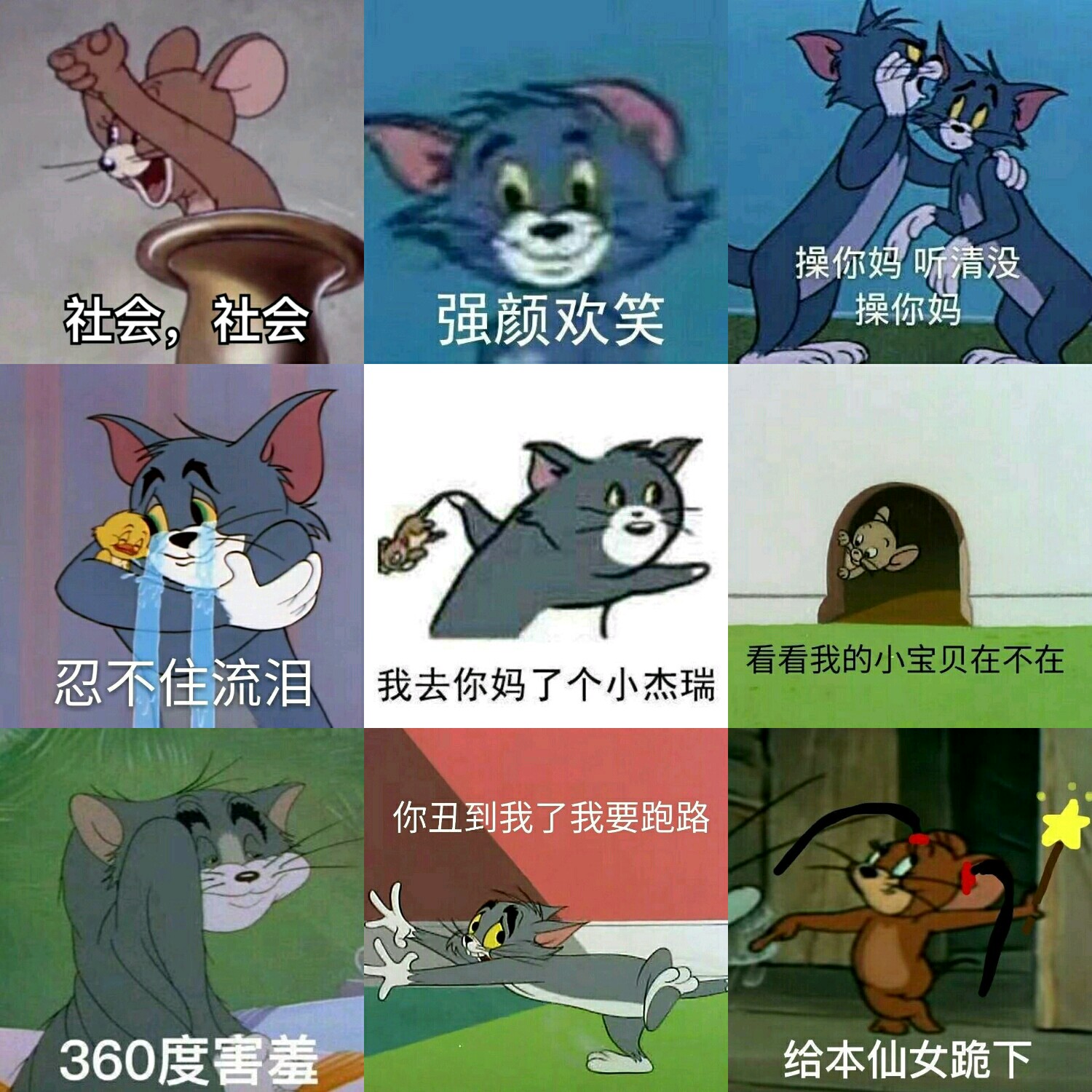 【v粉表情包】猫和老鼠一组20p