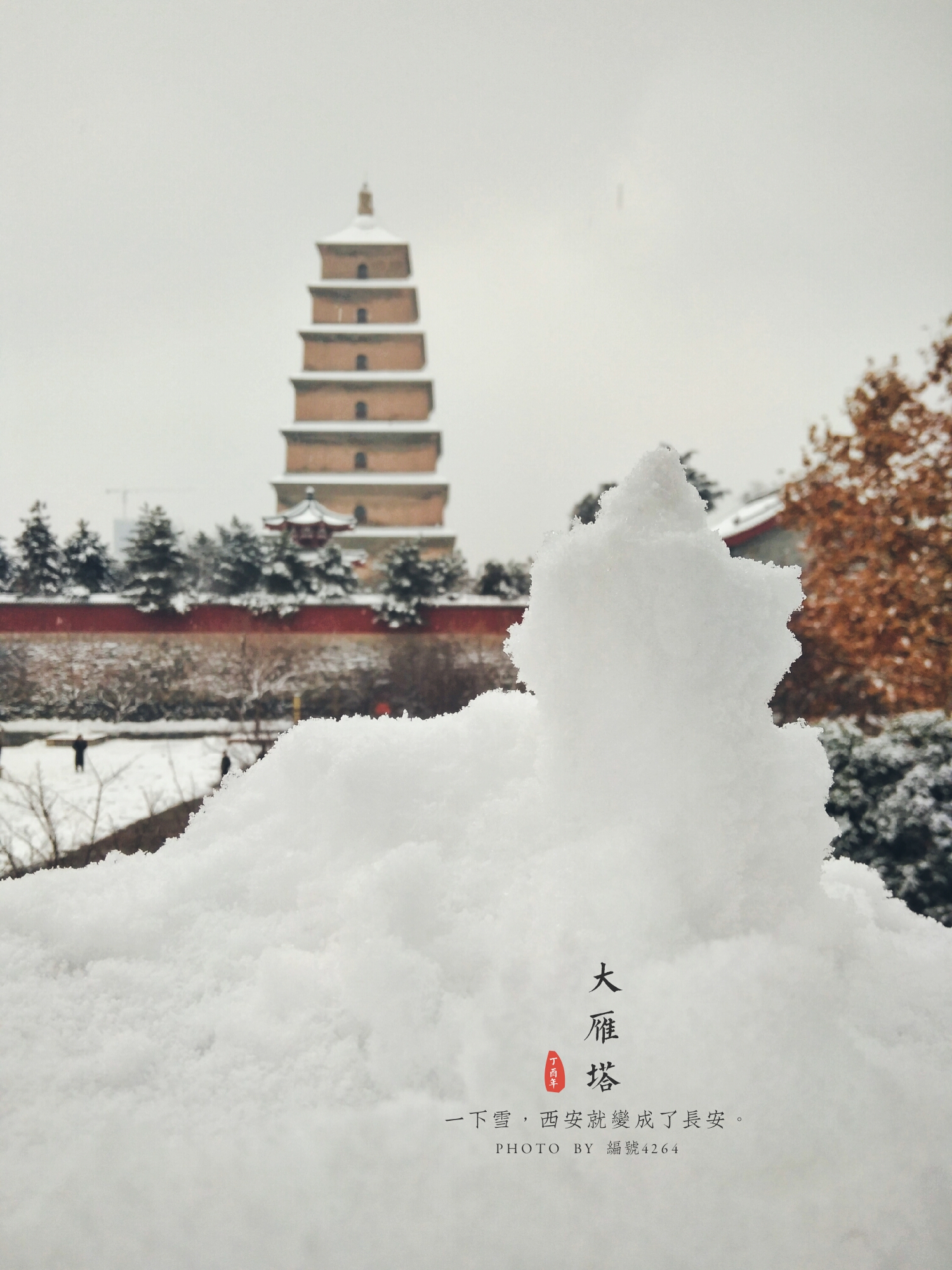 【随手拍雪景】长安雪,最中国