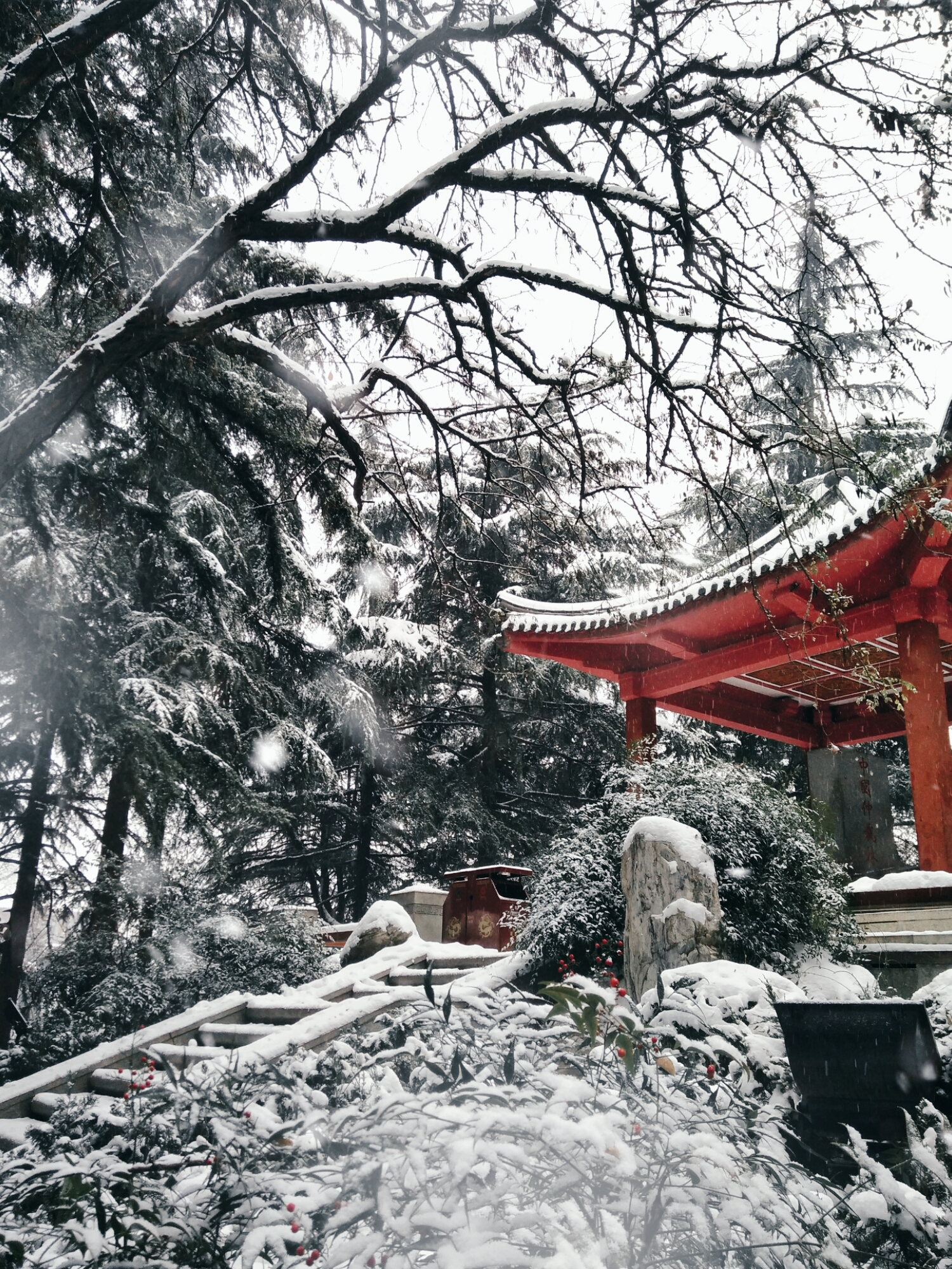 【随手拍雪景】长安雪,最中国